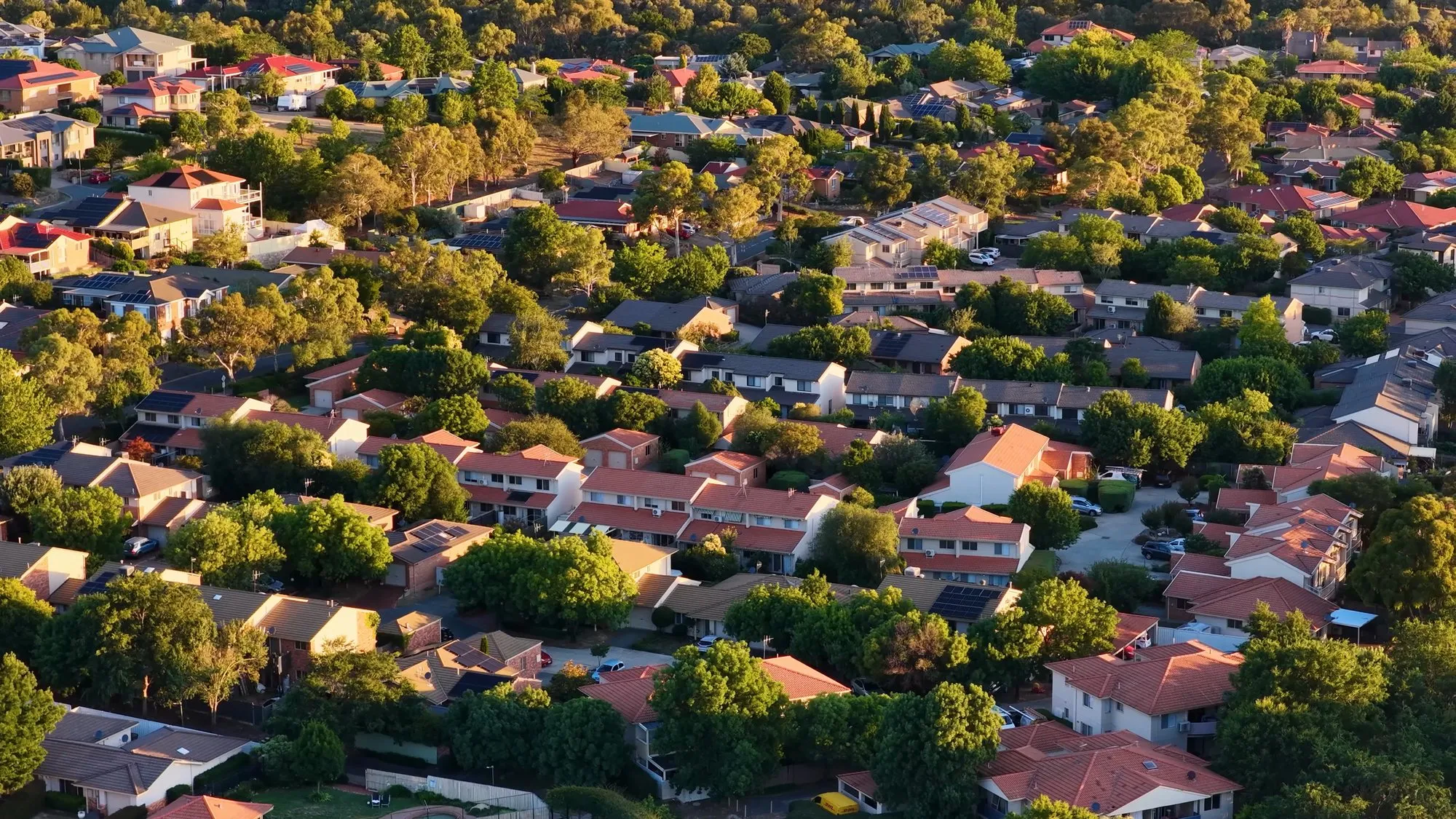 Aerial view of a suburban neighborhood with rows of houses, red and gray roofs and green trees in late-afternoon sunlight